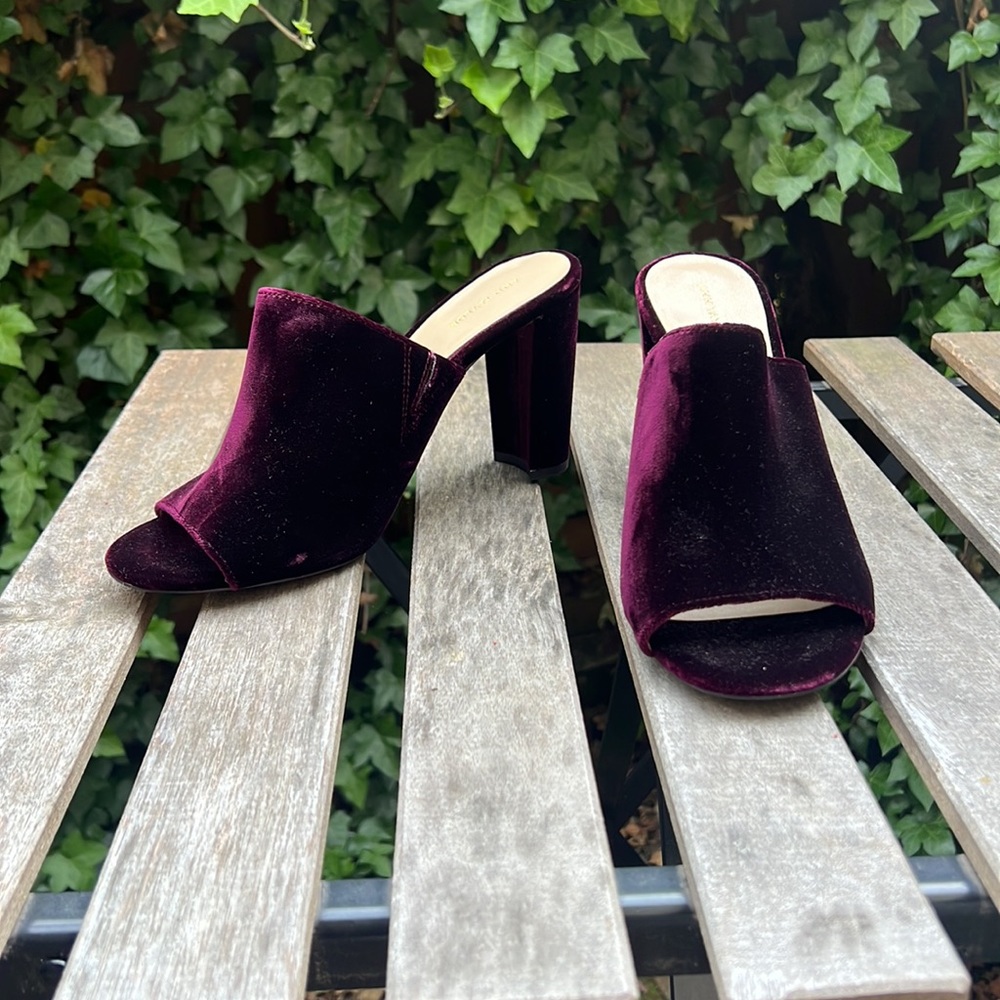 velvet dark purple ann taylor mules, size 9